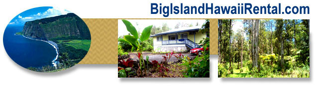 Big Island Vacatin Rental in the Puna Area