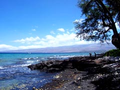 Da Big Island Coastal Pictures